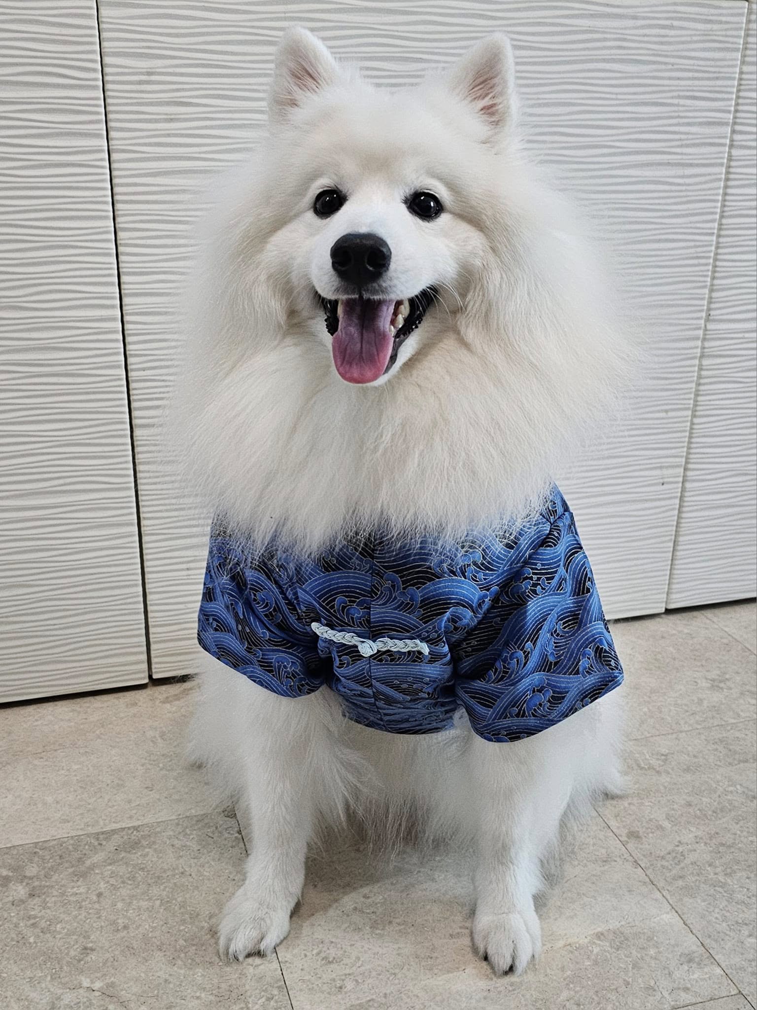 Dynasty Bloom Mandarin Collared Dog Outfit