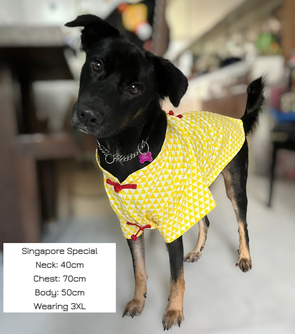 Dynasty Bloom Mandarin Collared Dog Outfit