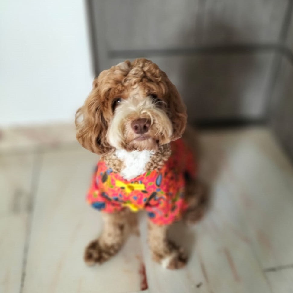 Dynasty Bloom Mandarin Collared Dog Outfit